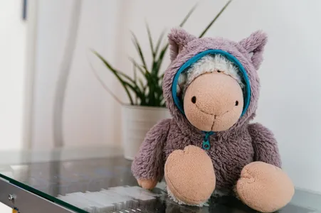 Unser Schaf Ruby, dick und sicher verpackt.