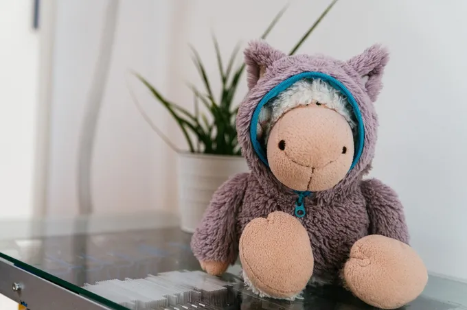 Unser Schaf Ruby, dick und sicher verpackt.